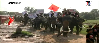 Ayyuthaya: Les éléphants manifestent avant Bangkok [HD]