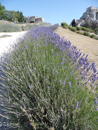 les Baux de Provence 48