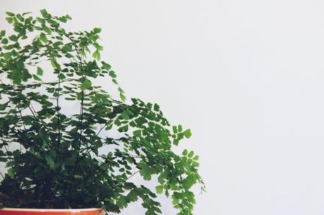 Les Photos du Dimanche #84