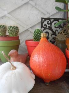 potimarron et pâtisson