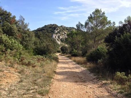 Automne estival... (Promenade du weekend)