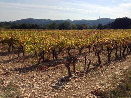 Automne estival... (Promenade du weekend)