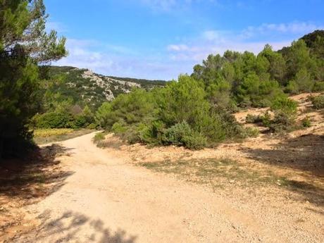 Automne estival... (Promenade du weekend)