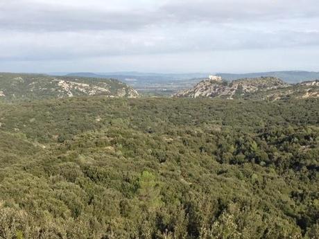 Automne estival... (Promenade du weekend)