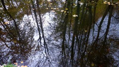 Château de Schleissheim (photos)