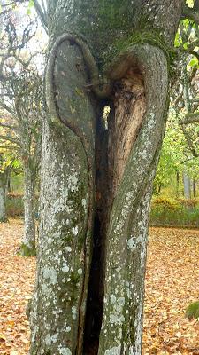 Château de Schleissheim (photos)