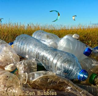172 bouteilles en plastique collectées sur 150 mètres !