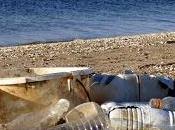 bouteilles plastique collectées mètres