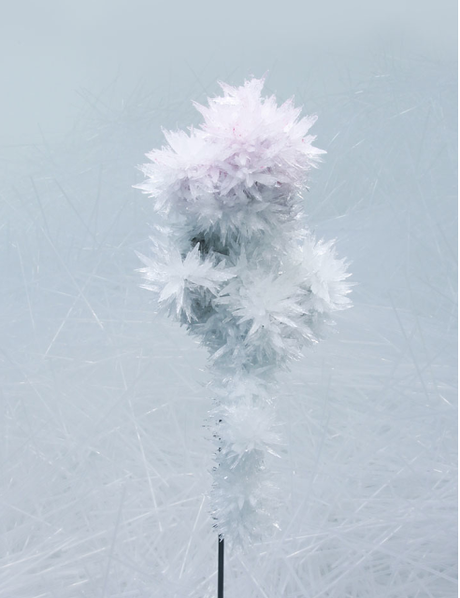 Tokujin Yoshioka - Crystallize