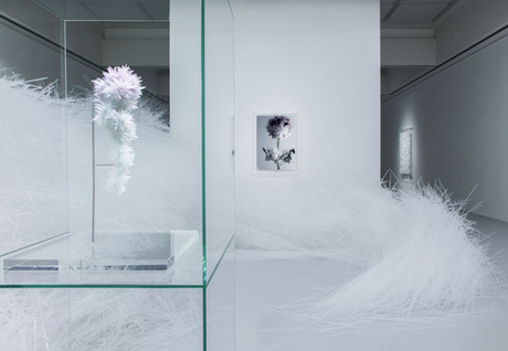 Tokujin Yoshioka - Crystallize