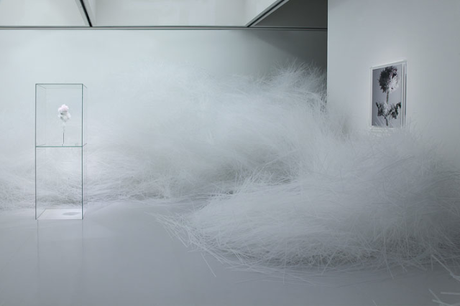 Tokujin Yoshioka - Crystallize