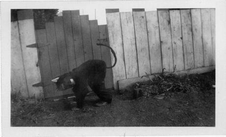 Il y a 100 ans, les premières photos d’Halloween