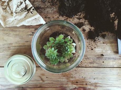 The World is a Kit, Make it! #4 :: Tutorials! Déposez votre plante dans son nouvel habitat ...