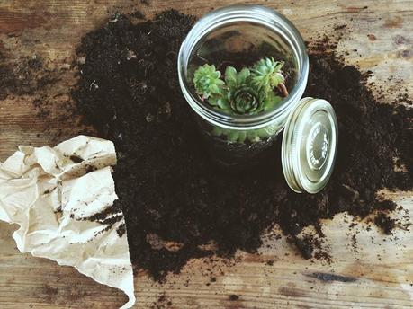 The World is a Kit, Make it! #4 :: Tutorials! Arrosez une fois par mois et ... admirez! ;)