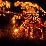 ART: Le Festival Jack O’Lanterns à NY !