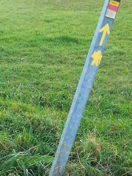 Trail world tour, Via Francigena, étape 16, bucolique!