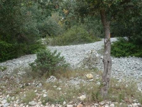 saison,société,automne,voyages,randonnée,découvertes,nouvelles et textes brefs,souvenirs.