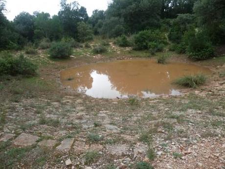 saison,société,automne,voyages,randonnée,découvertes,nouvelles et textes brefs,souvenirs.