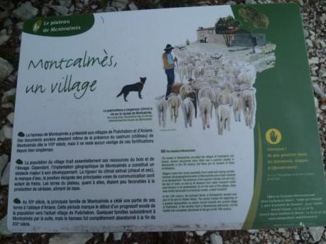 saison,société,automne,voyages,randonnée,découvertes,nouvelles et textes brefs,souvenirs.