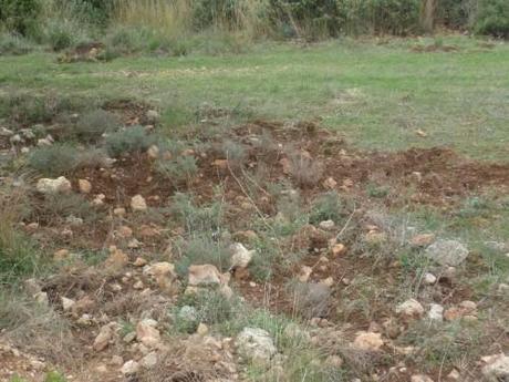 saison,société,automne,voyages,randonnée,découvertes,nouvelles et textes brefs,souvenirs.