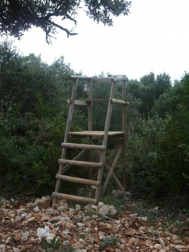 saison,société,automne,voyages,randonnée,découvertes,nouvelles et textes brefs,souvenirs.