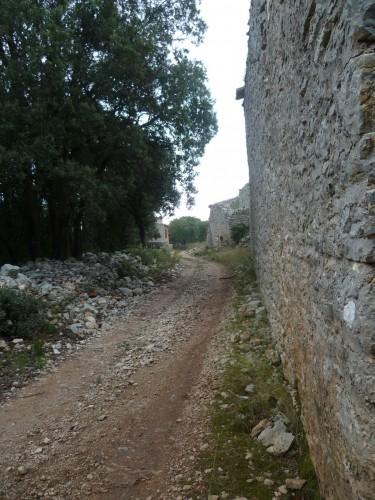 saison,société,automne,voyages,randonnée,découvertes,nouvelles et textes brefs,souvenirs.