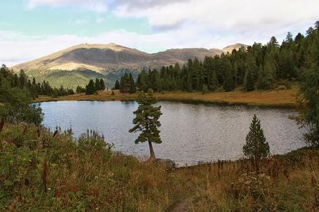 Petite pause forcée car je fais nettoyer mon  appareil photo