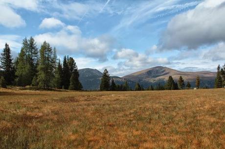 Petite pause forcée car je fais nettoyer mon  appareil photo