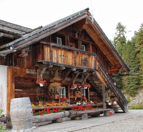 Petite pause forcée car je fais nettoyer mon  appareil photo