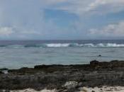 Lire classiques Augustin d'Hippone