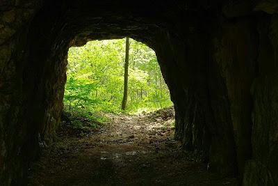 Dans les carrières d'Euville