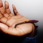 [Bon Plan] Un destockage Justine Clenquet