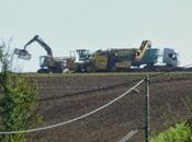 Campagne sucrière...