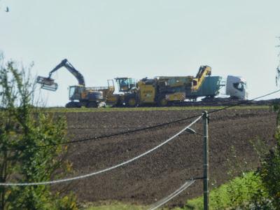 Campagne sucrière...