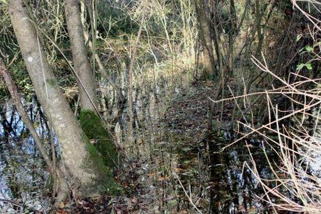 romi 30 oct 2013 031.jpg