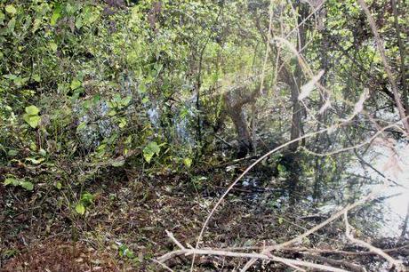 romi 30 oct 2013 029.jpg