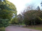 Saint-Etienne, parc l’Europe automne