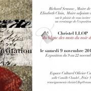 Exposition « Du blanc des mots du noir des signes » Christel Llop Espace culturel Olivier Carol | Foix
