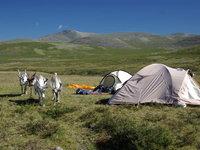 Mongolie : ma rencontre avec le peupleTsaatan