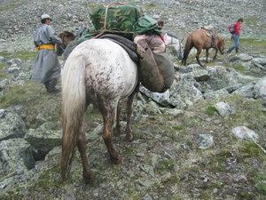Mongolie : ma rencontre avec le peupleTsaatan