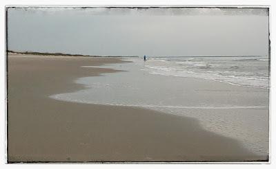 L'ourse dans sa caverne