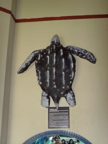 Aquarium Santo Domingo