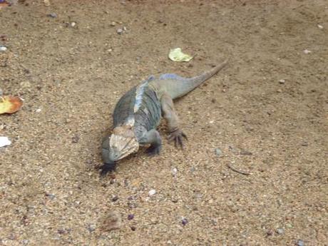 Aquarium Santo Domingo