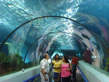 Aquarium Santo Domingo