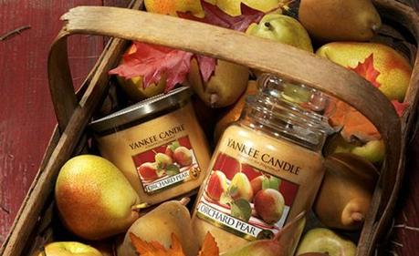 Yankee Candle Orchard Pear