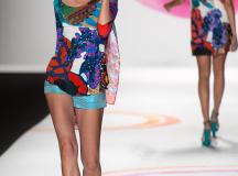 Desigual (70)