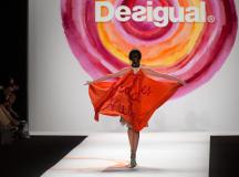Desigual (95)