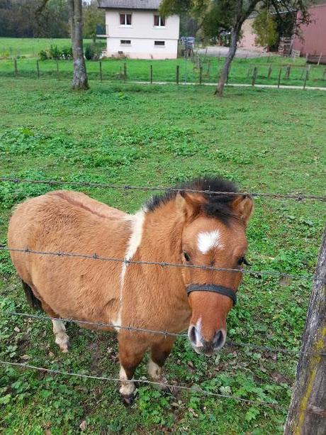 Trail world tour, Via Francigena, étape 19: une balade dans le Haut Doubs.