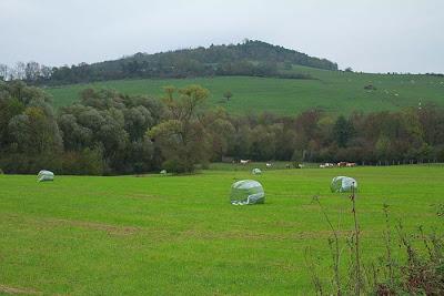 En balade à l'est de Nancy