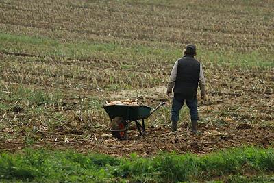 En balade à l'est de Nancy